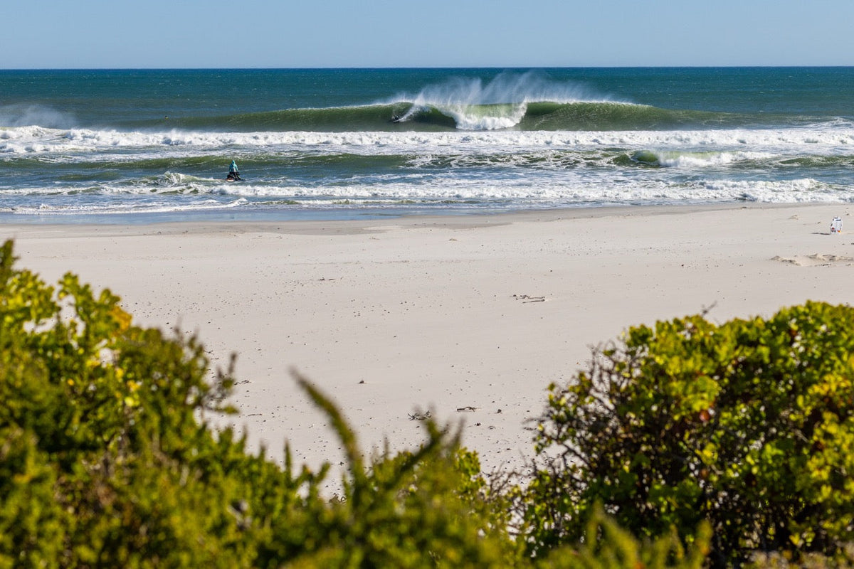 Natural Selection Surf: Western Cape, Südafrika