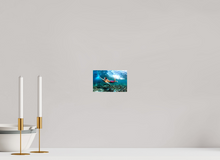 Lade das Bild in den Galerie-Viewer, Mentawai Duckdive, Indonesien by Stefan Götzelmann - Highend Alu Dibond Fotoprint
