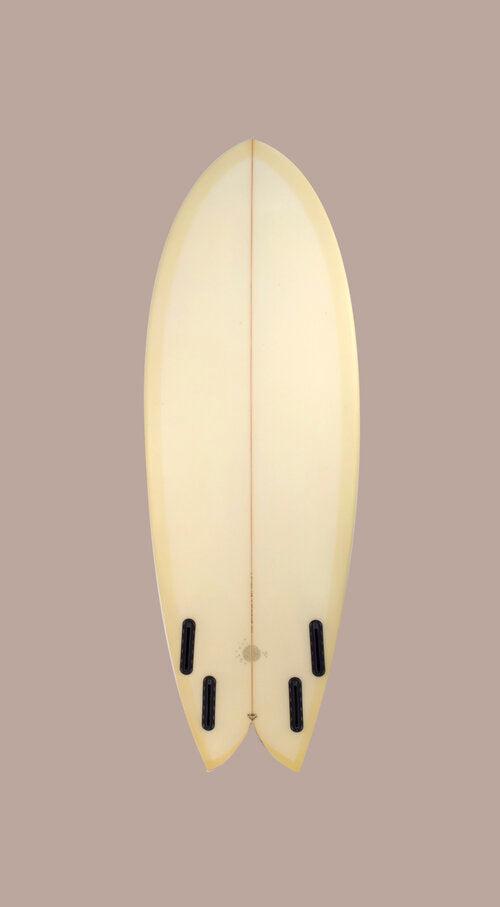 Sean-Cusick-Anthias-Fish-5&